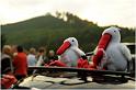 2009-09-18_19h12mn28s_rm0_9967