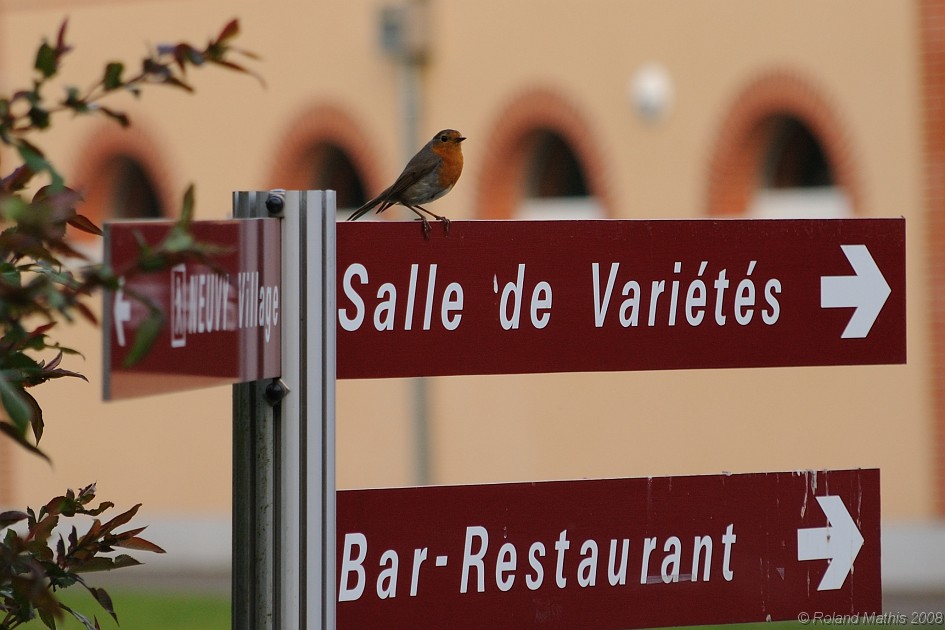 2008-05-08_20h07mn50s.jpg - Chemin faisant vers le réfectoire...