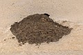 2008-05-10_12h05mn26s